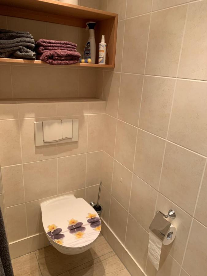Kathrin'S Appartment Oelsnitz  Eksteriør bilde